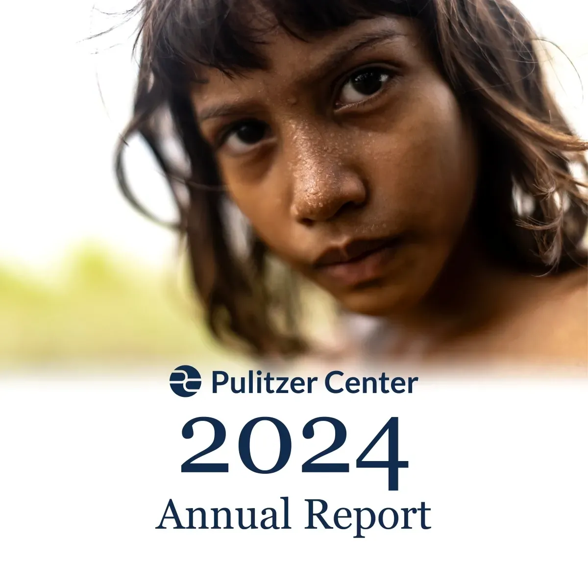 2024 annual report header-newsletter.jpg